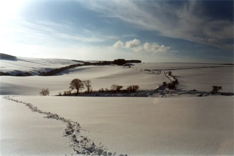 Lammermuir hills in winter